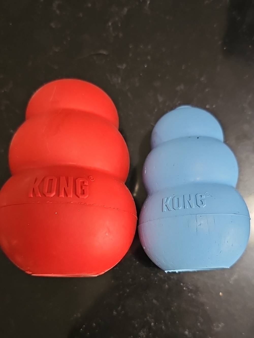 Kong Dog Treat Dispenser